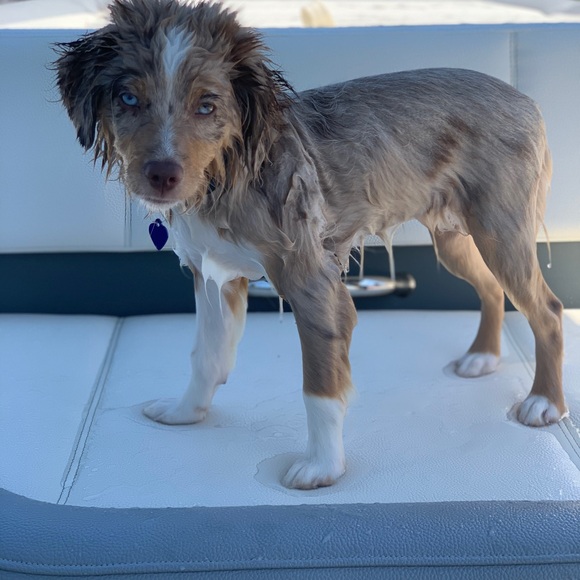 I’m Corinne! Thanks for stopping by to get to know me 😁 - Picture 7 of 14